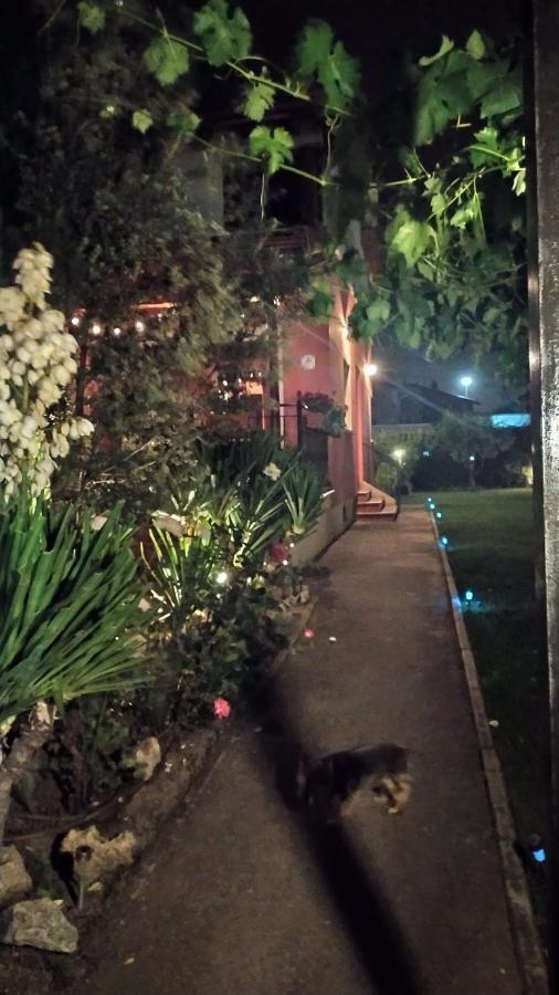 בית הארחה Burgo 	Cuarenta Y Ocho Luces מראה חיצוני תמונה